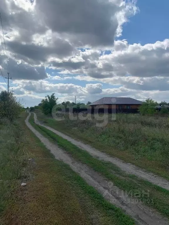 Участок в Ульяновская область, Тереньгульский район, Подкуровское ... - Фото 1