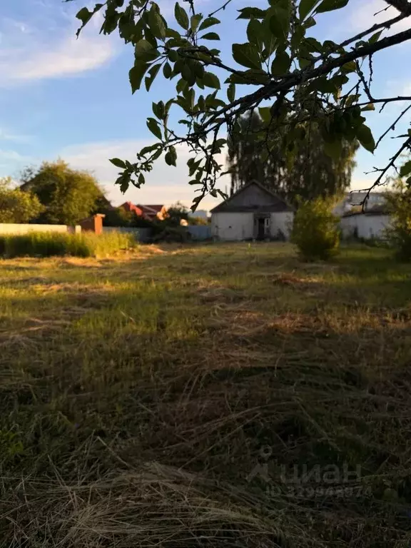 Дом в Нижегородская область, Бор муниципальный округ, д. Овечкино 22 ... - Фото 1
