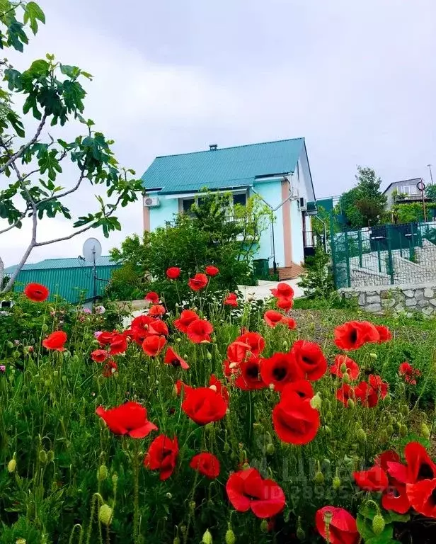 Комната Крым, Алушта муниципальный округ, Партенит пгт ул. ... - Фото 1