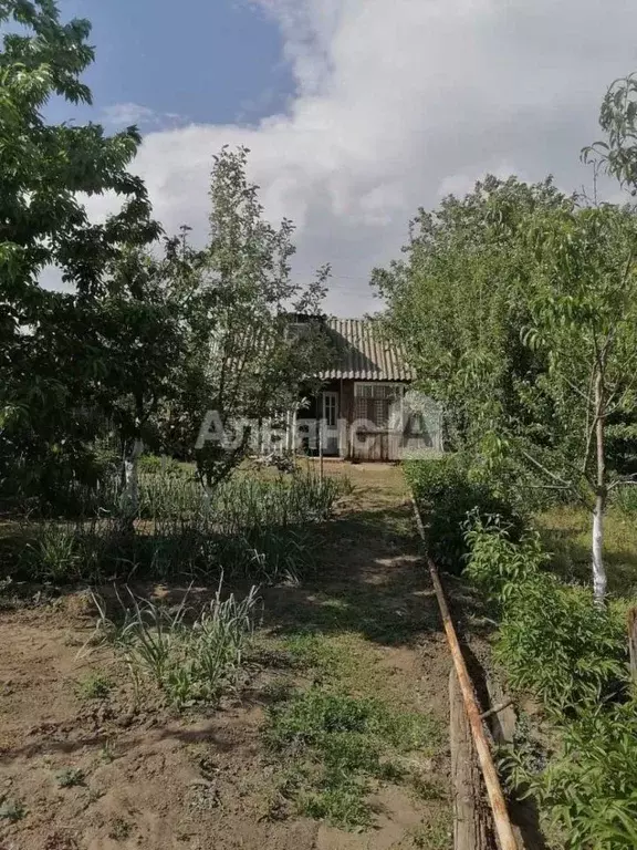 Участок в Ростовская область, Белая Калитва БКМПО-1 садоводческое ... - Фото 2