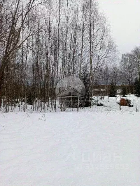 Участок в Новгородская область, Демянский муниципальный округ, д. ... - Фото 1