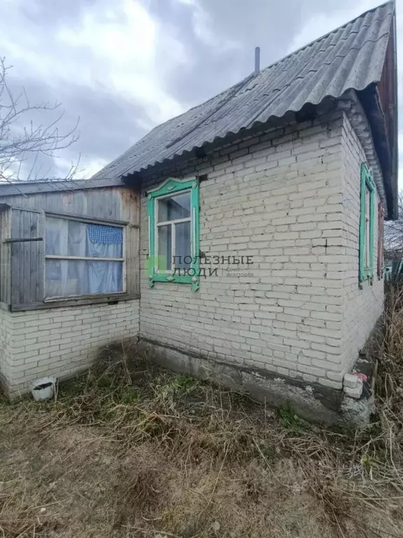 Дом в Курганская область, Курган Тюльпан СНТ, ул. Приречная (36 м) - Фото 0