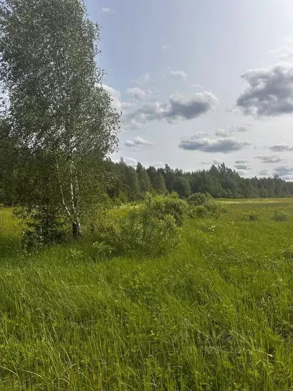 Участок в Московская область, Клин городской округ, д. Тиликтино  ... - Фото 1