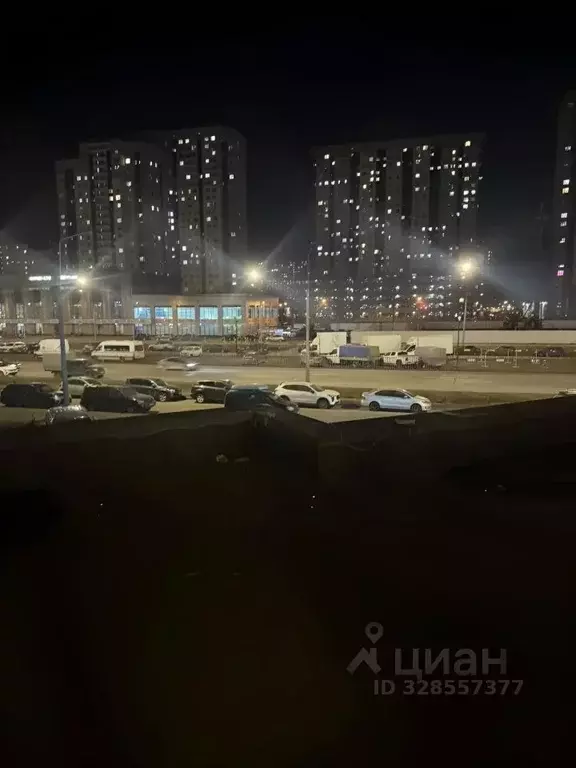 1-к кв. Санкт-Петербург Туристская ул., 28к1 (31.3 м) - Фото 1