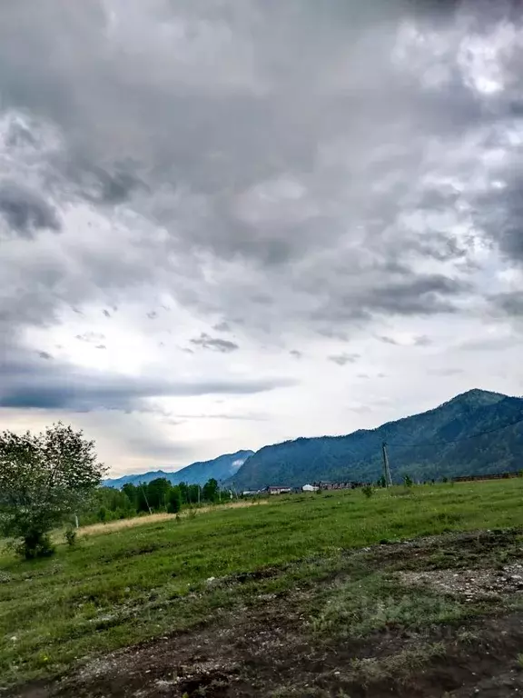 Участок в Алтай, Чемальский район, Рублевка ДПК  (10.0 сот.) - Фото 0