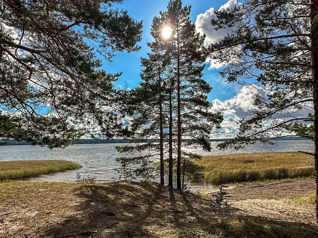 Коттедж в Ленинградская область, Приозерский район, Громовское с/пос, ... - Фото 1