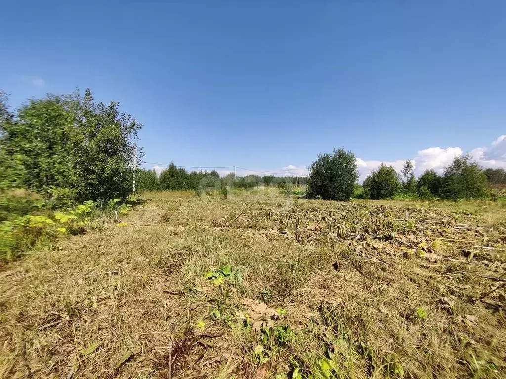 Участок в Коми, Сыктывдинский район, с. Выльгорт ул. Хвойная (8.7 ... - Фото 2