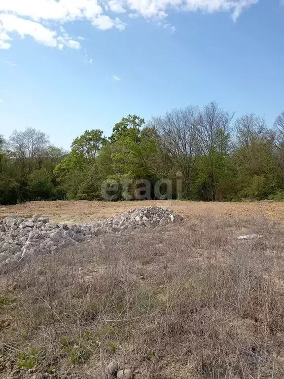 Участок в село Черешня, Владимировская улица (8.1 м) - Фото 1