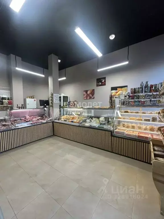 Помещение свободного назначения в Московская область, Ленинский ... - Фото 1