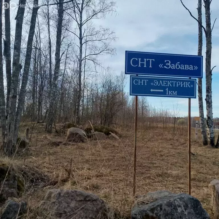 Дом в Выборгский район, Каменногорское городское поселение, ... - Фото 2