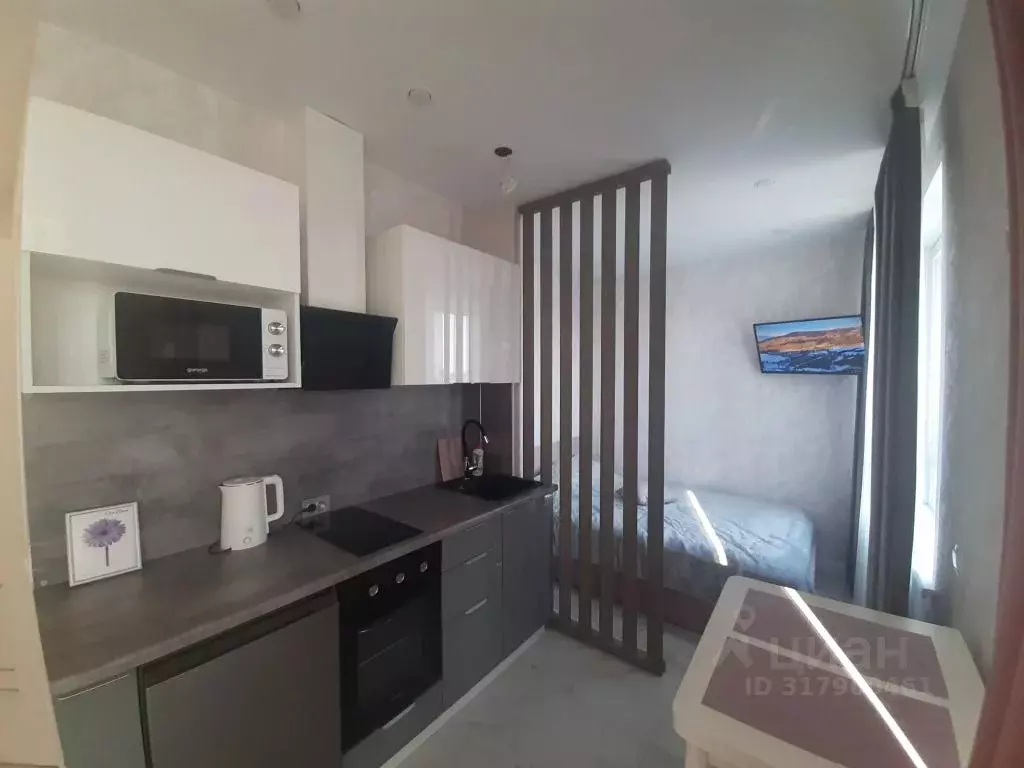 1-к кв. Новосибирская область, Новосибирск ул. Ватутина, 93/3 (24.0 м) - Фото 1