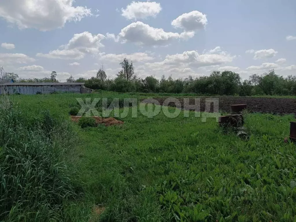 Дом в Новосибирская область, Тогучинский район, с. Дергаусово ул. ... - Фото 0