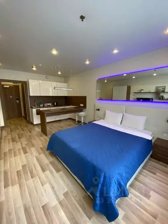 Студия Санкт-Петербург ул. Хошимина, 16А (29.0 м) - Фото 1