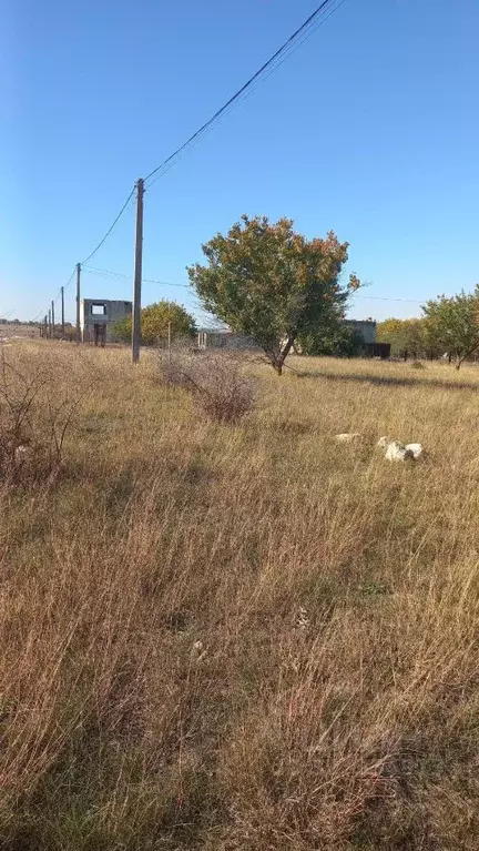 Участок в Крым, Симферопольский район, Урожайновское с/пос, Василек ... - Фото 2