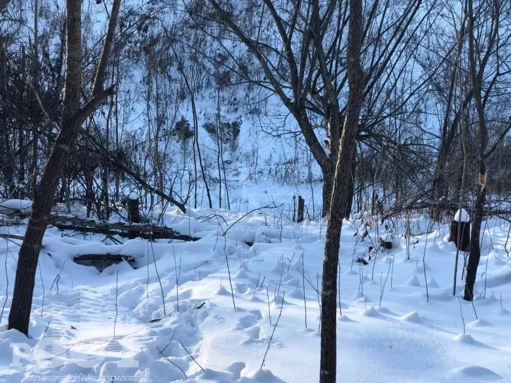 Участок в Приморский край, Артем Лесной мкр,  (9.66 сот.) - Фото 1