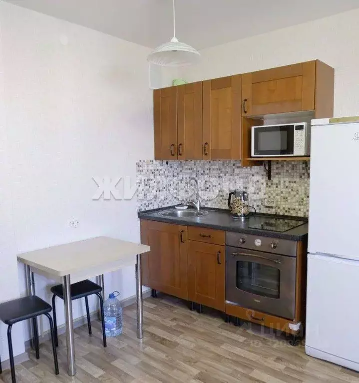 1-к кв. Новосибирская область, Новосибирск ул. Петухова, 95/4 (24.1 м) - Фото 0