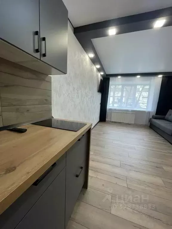 Студия Алтайский край, Барнаул ул. 1-я Западная, 55к1 (18.2 м) - Фото 1