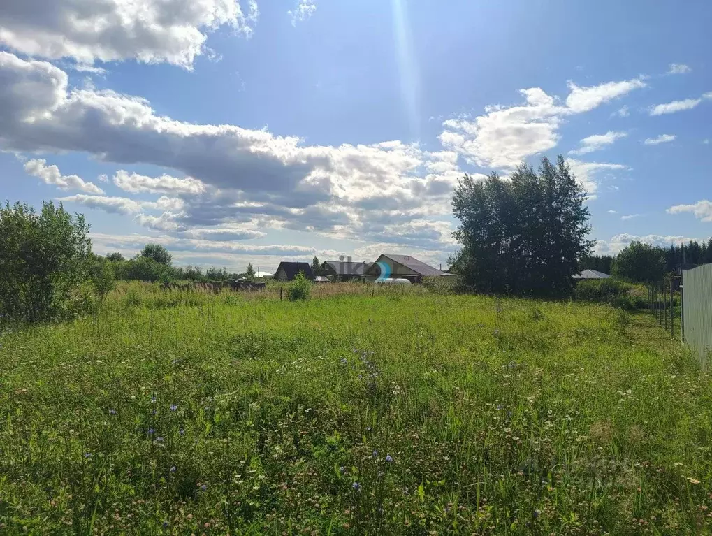 Участок в Башкортостан, Иглинский район, Чуваш-Кубовский сельсовет, ... - Фото 2