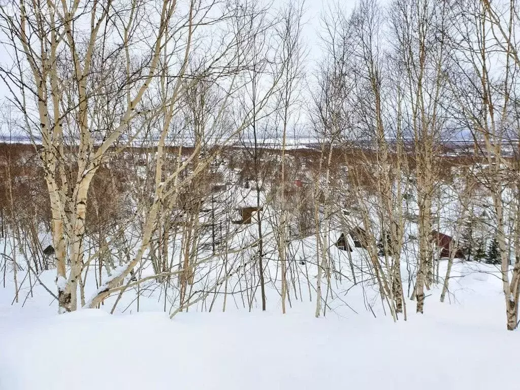 Участок в Камчатский край, Елизовский муниципальный округ, СНТ ... - Фото 2