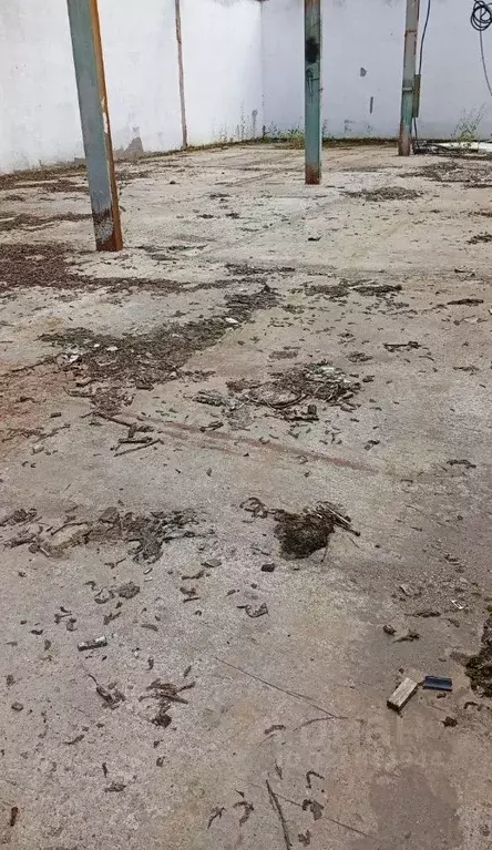 Производственное помещение в Московская область, Красногорск городской ... - Фото 0