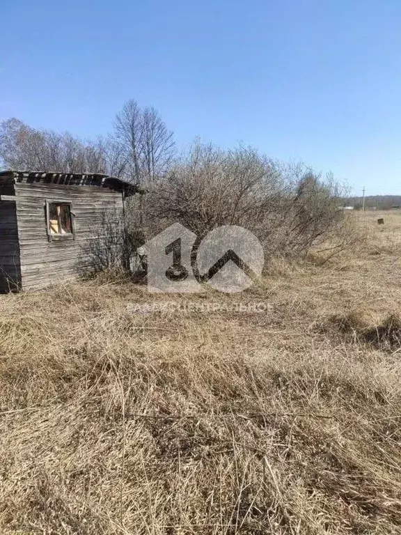 Участок в Новосибирская область, Новосибирский район, с. Ярково ул. ... - Фото 2