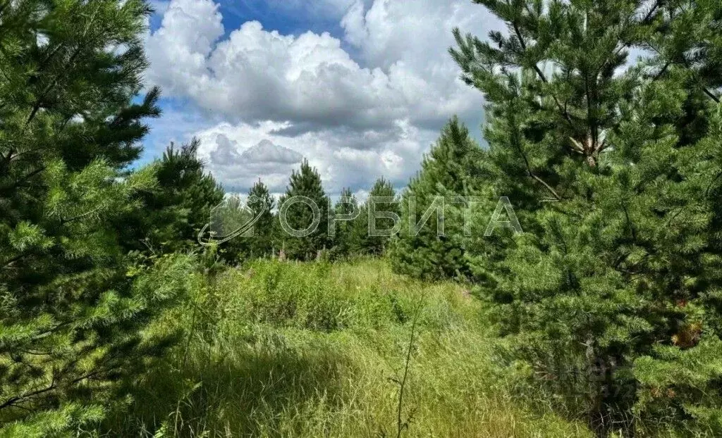 Участок в Свердловская область, Слободо-Туринский район, ... - Фото 0
