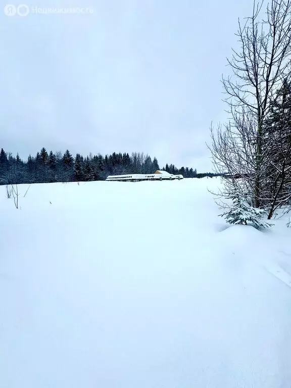 Участок в Архангельская область, Приморский муниципальный округ, ... - Фото 1