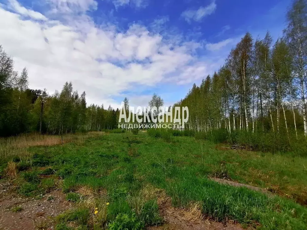 Участок в Ленинградская область, Приозерский район, Ларионовское ... - Фото 0