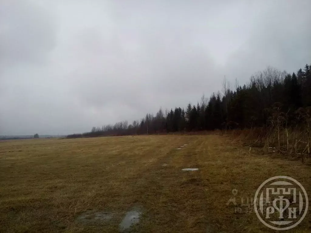 Участок в Ленинградская область, Выборгский район, пос. Гончарово ... - Фото 1