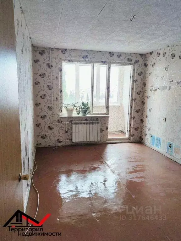 1-к кв. Севастополь ул. Героев Бреста, 25 (31.0 м) - Фото 0