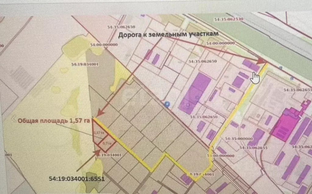 Участок в Новосибирская область, Новосибирский район, с. Толмачево ... - Фото 1