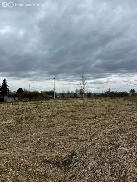 Дом в деревня Клюшниково, Центральная улица (38 м) - Фото 2