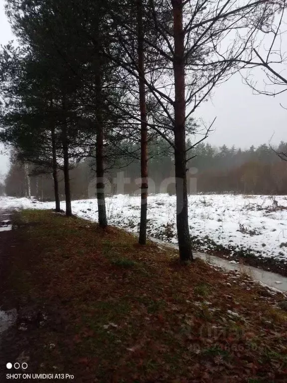 Участок в Ленинградская область, Тосно г. Тосненский район, Тосненское ... - Фото 1