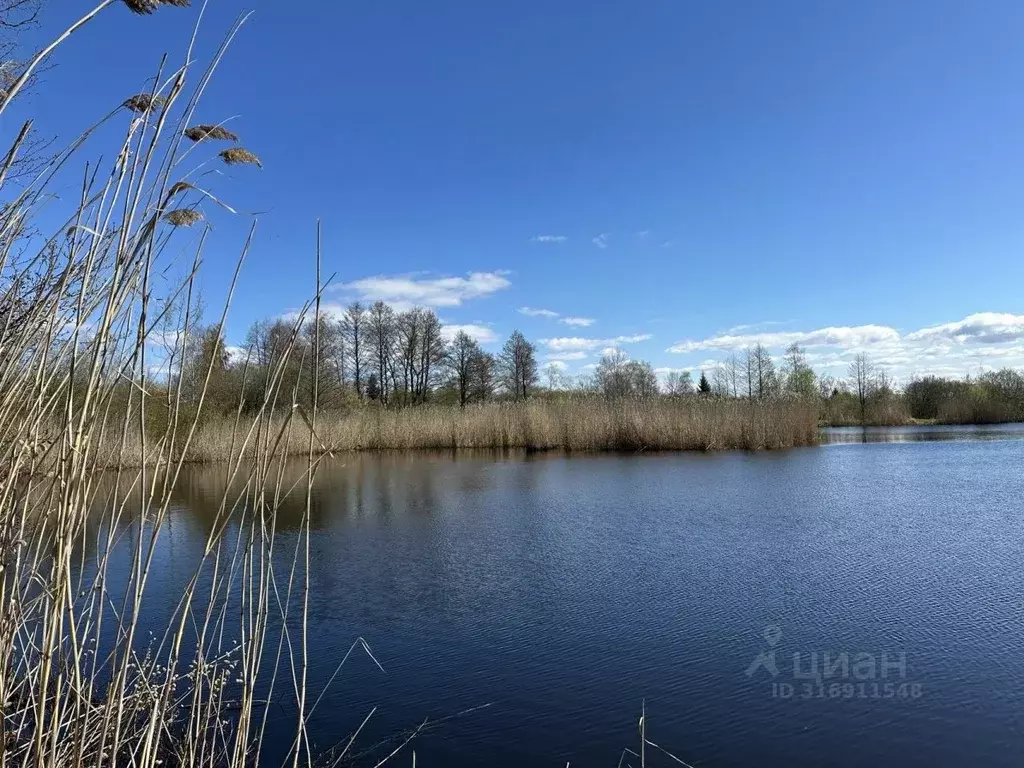Участок в Санкт-Петербург, Санкт-Петербург, Петергоф ул. Средняя, 14 ... - Фото 0