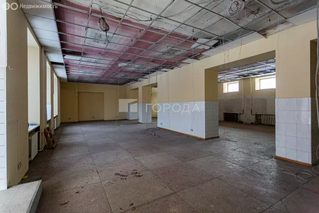 Помещение свободного назначения (377.1 м) - Фото 2