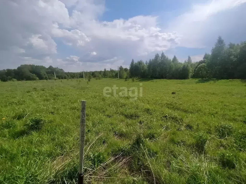 Участок в Калужская область, Калуга городской округ, д. Лихун ул. ... - Фото 0