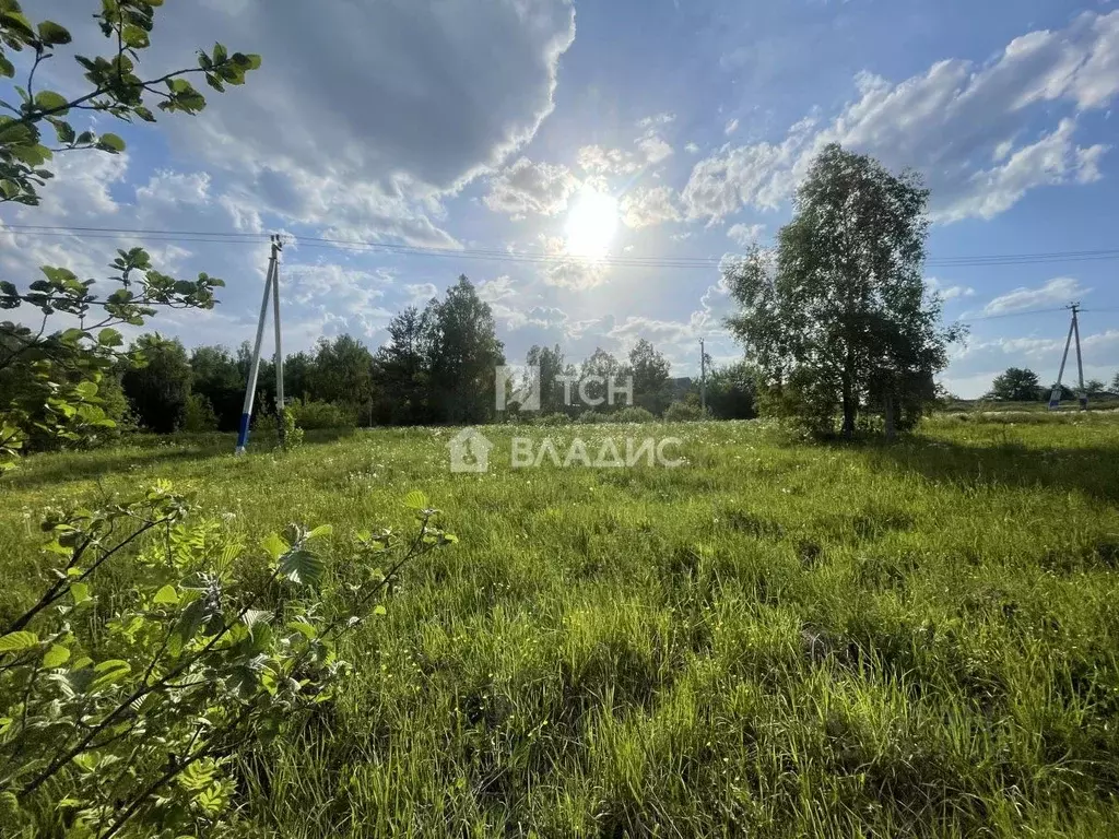 Участок в Московская область, Щелково городской округ, д. Хлепетово  ... - Фото 0