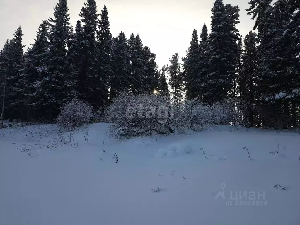 Участок в Ханты-Мансийский АО, Ханты-Мансийск ул. Горная (6.4 сот.) - Фото 0