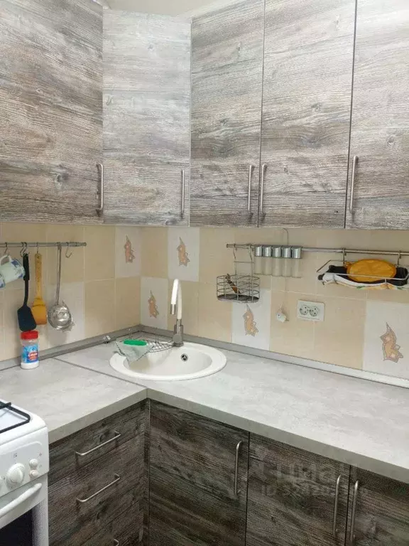 1-к кв. Московская область, Пушкино Мамонтовка мкр, Рабочая ул., 2 ... - Фото 2