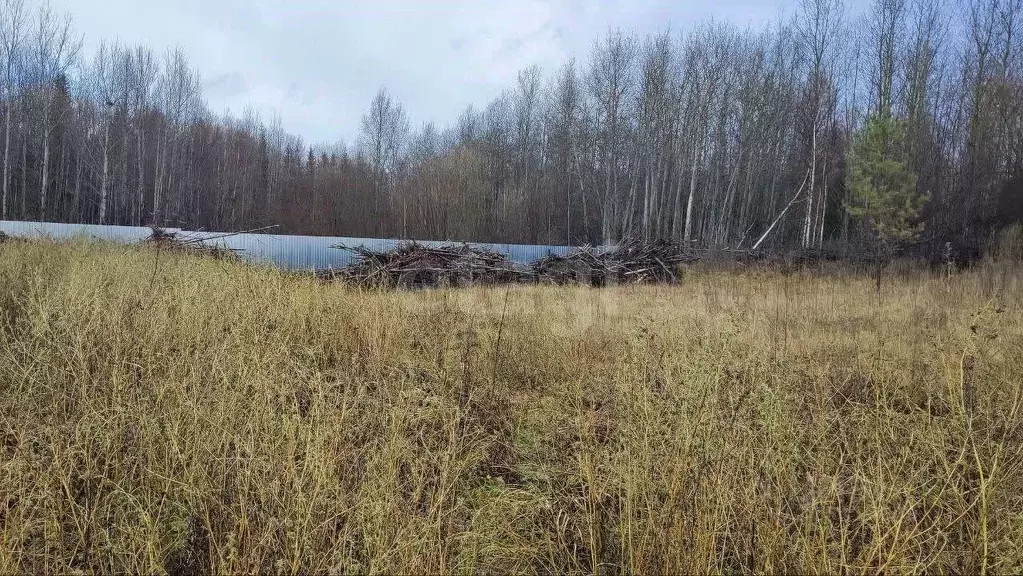 Участок в Пермский край, Краснокамский муниципальный округ, пос. ... - Фото 2