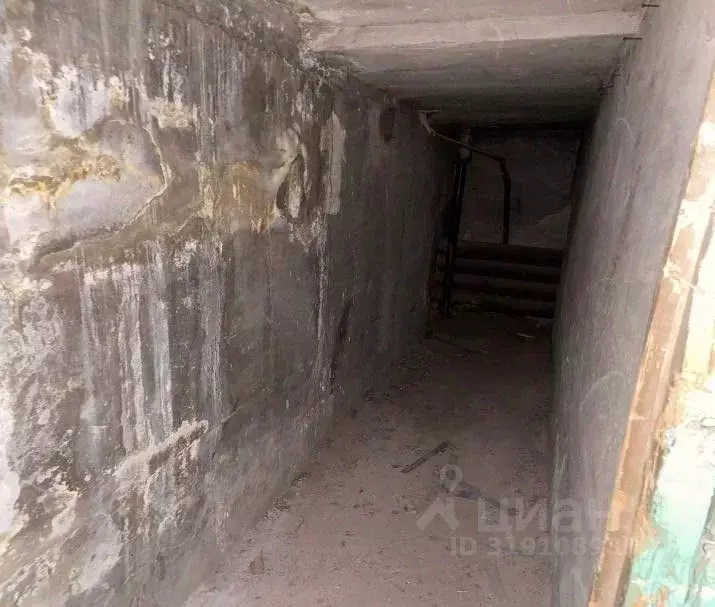 Помещение свободного назначения в Челябинская область, Магнитогорск ... - Фото 1