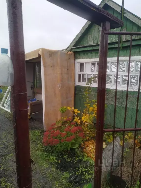 Дом в Тамбовская область, Тамбов Химик СНТ, ул. Центральная (20 м) - Фото 2