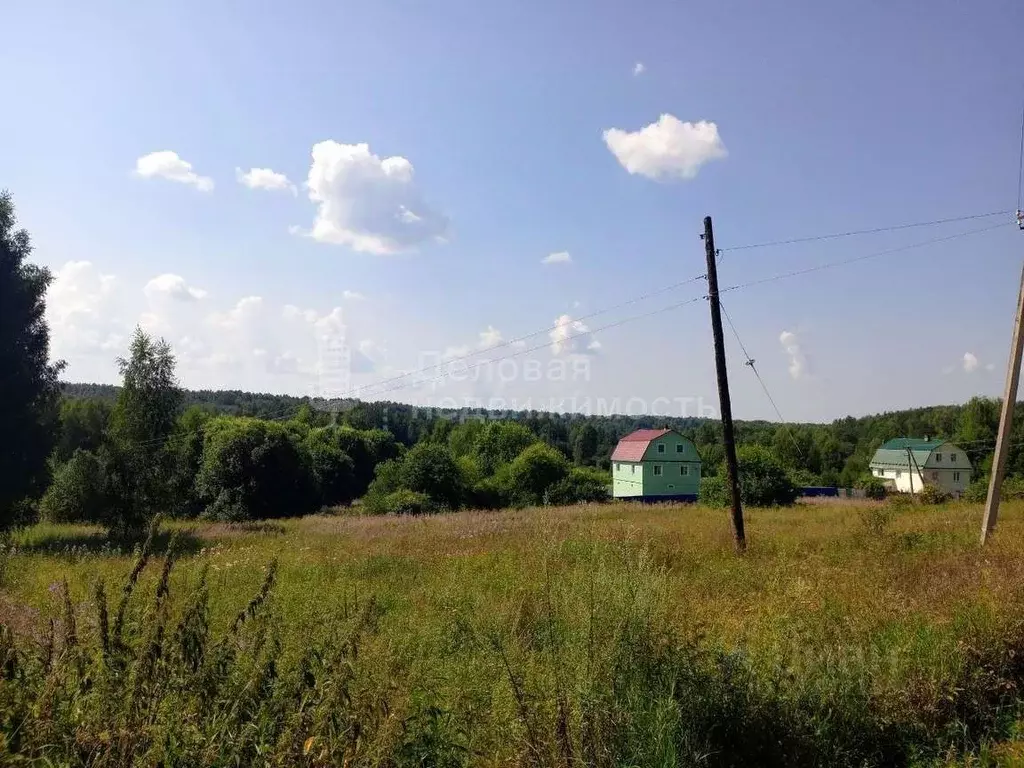 Участок в Новгородская область, Любытинское с/пос, д. Воймирицы  (15.0 ... - Фото 0