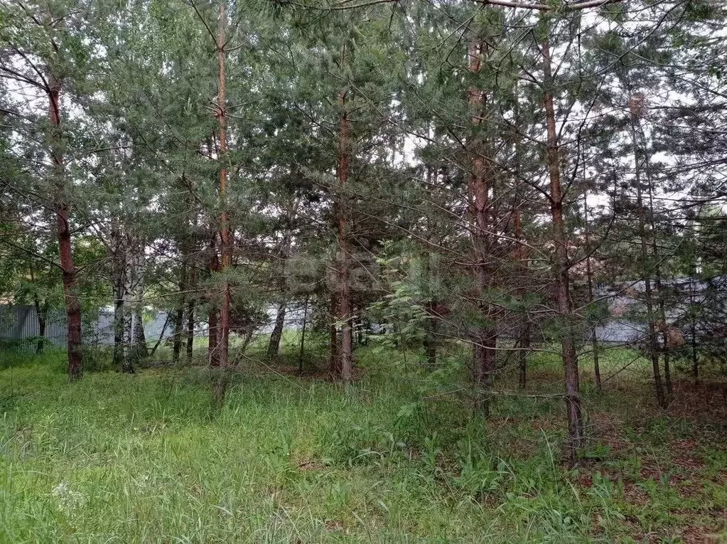 Участок в Воронежская область, Воронеж ул. Оскольская, 28 (9.65 сот.) - Фото 1