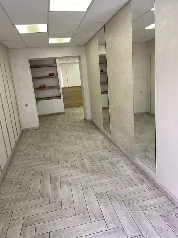 Помещение свободного назначения в Башкортостан, Уфа Революционная ул., ... - Фото 2