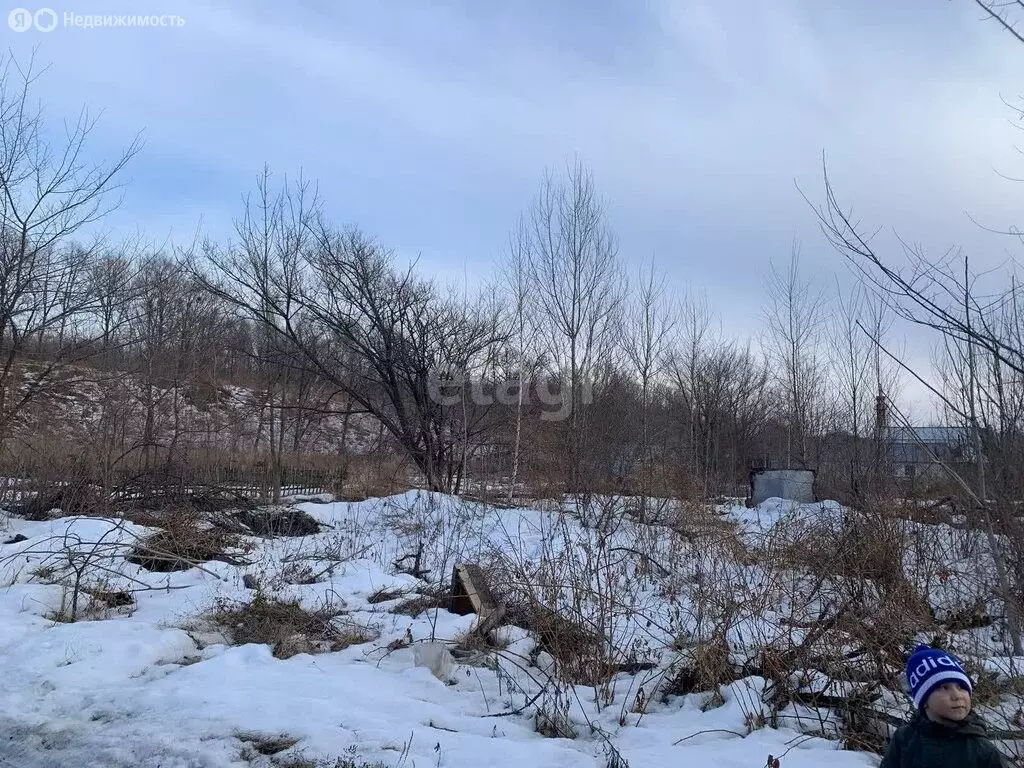 Участок в Хабаровский район, Осиновореченское сельское поселение, село ... - Фото 0