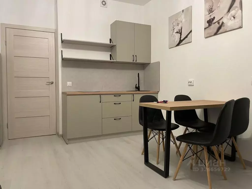 Студия Санкт-Петербург ул. Новосергиевская, 3 (25.0 м) - Фото 2