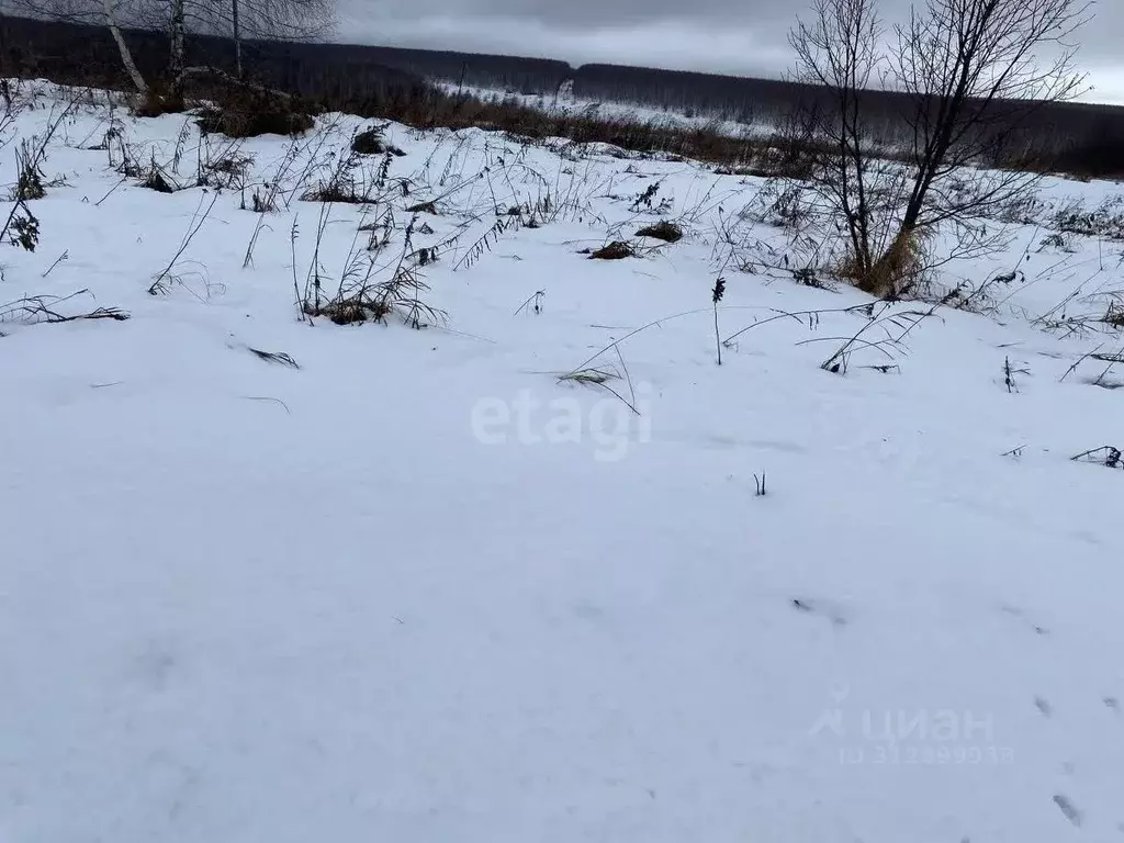 Участок в Нижегородская область, Дальнеконстантиновский муниципальный ... - Фото 1