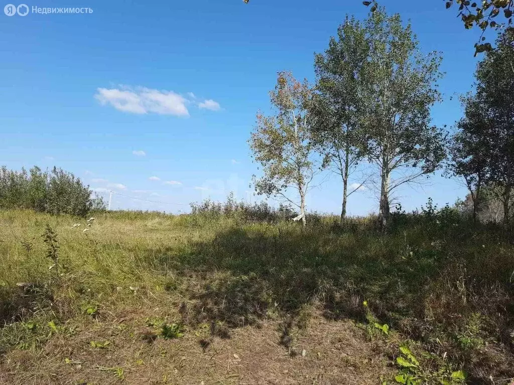 Участок в Тюменский район, село Борки (38.1 м) - Фото 1