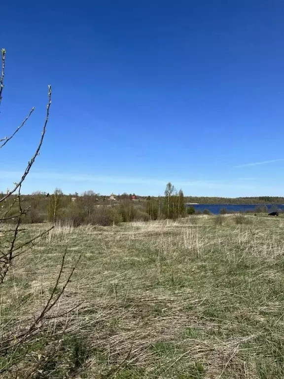 Участок в Тверская область, Вышневолоцкий муниципальный округ, д. ... - Фото 2